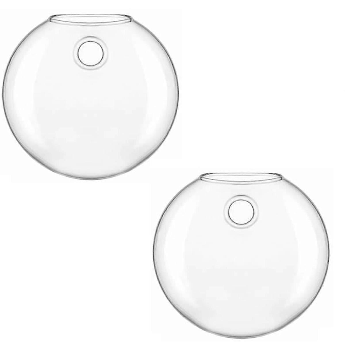 Vase
Hydroponic Glass Vase