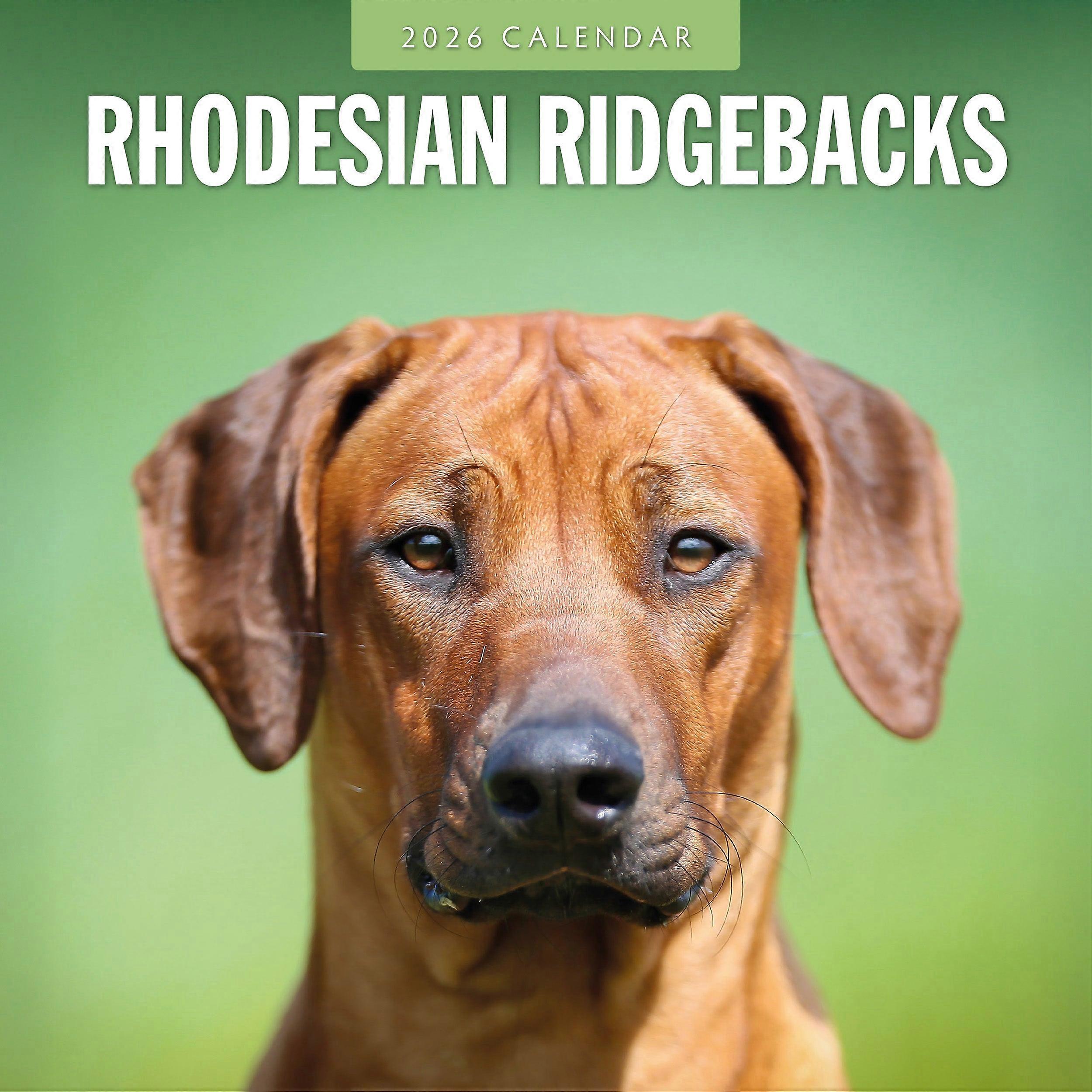 Red Robin Rhodesian Ridgeback Calendar 2026