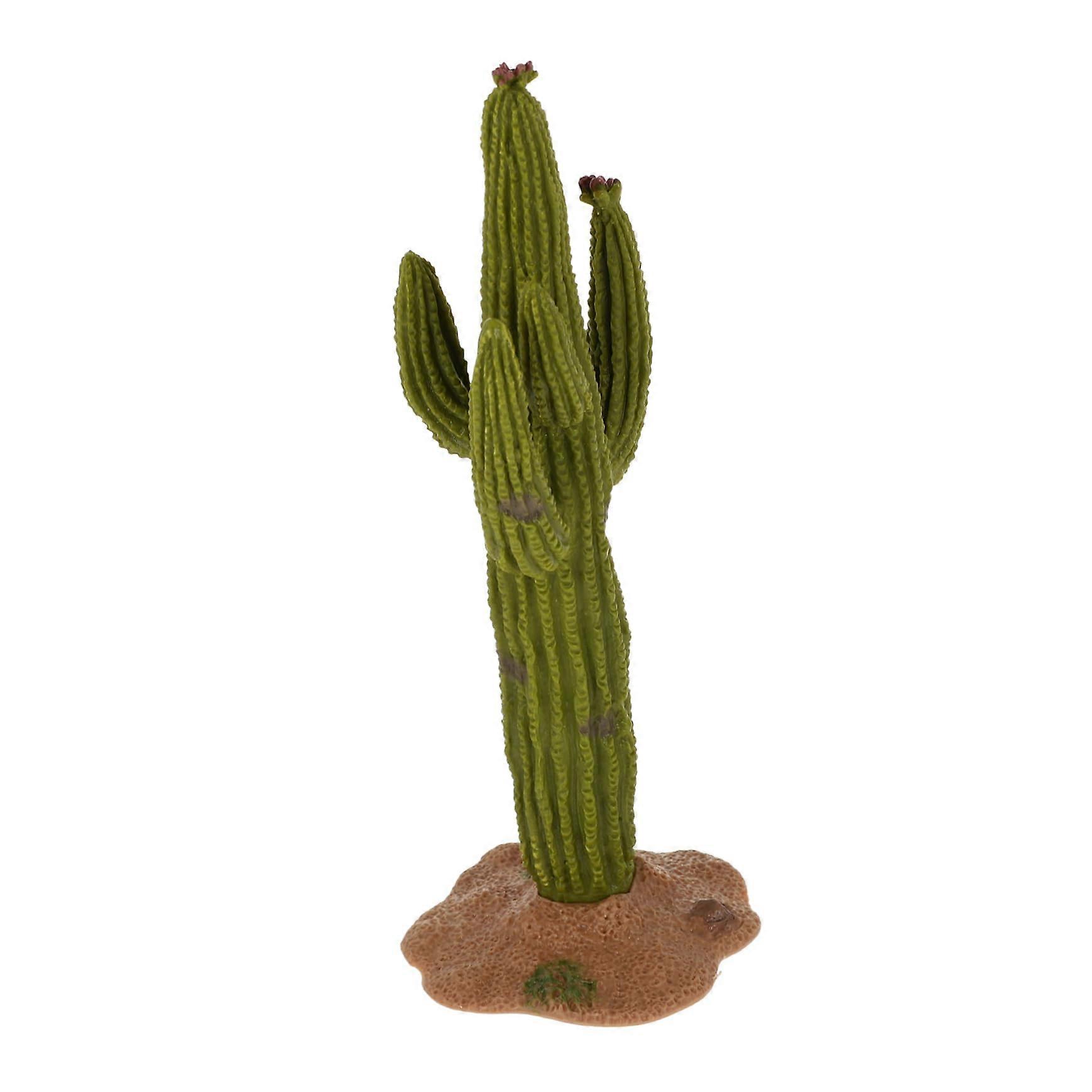 Simulated Cactus Model Size For Micro Landscape Cactus Scene Decor Desktop Display
