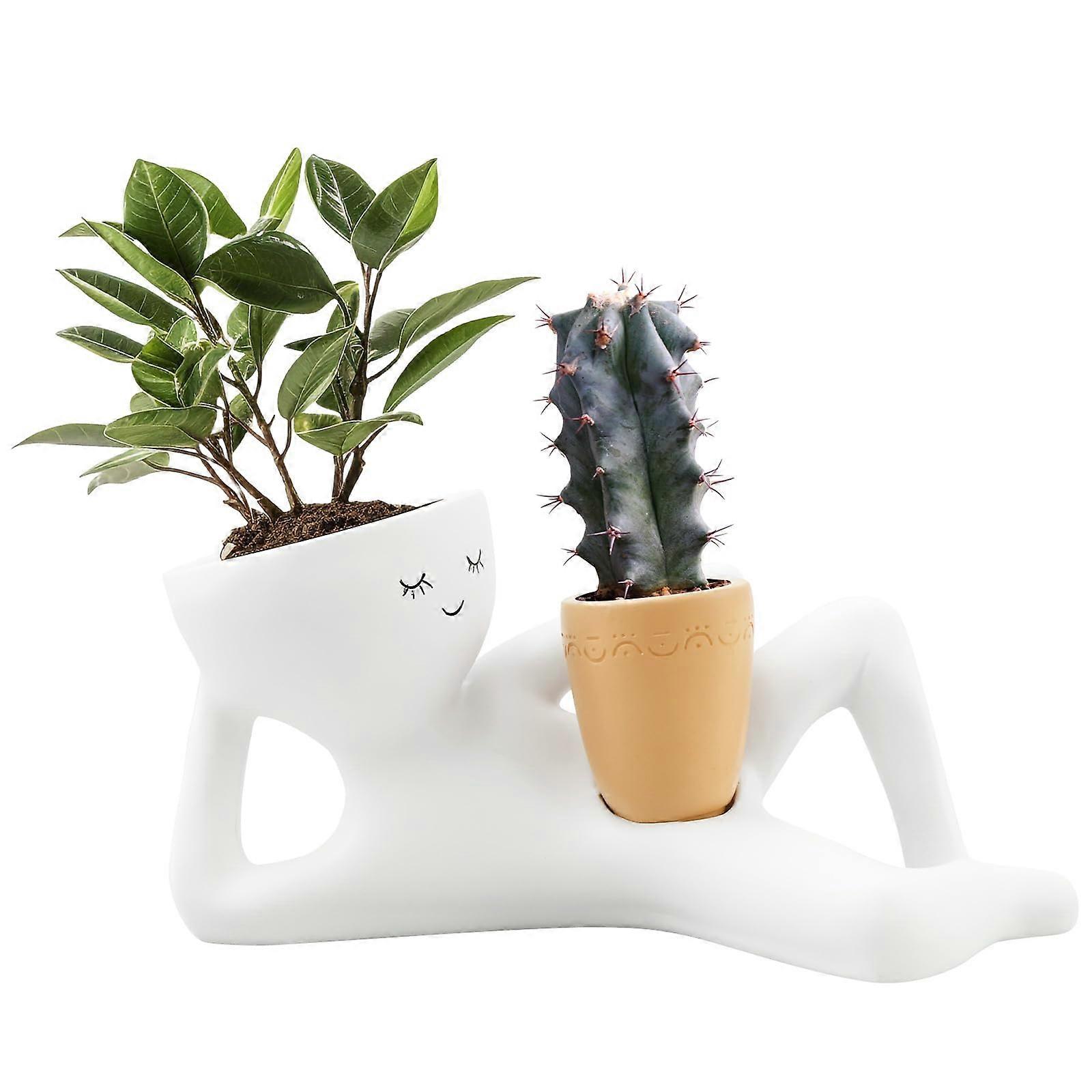 Succulent Planter with Unique Reclining Resin Flower Pot, Dual Spaces and Drainage for Indoor Outdoor Decor
