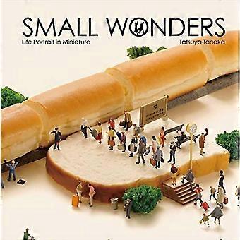 Pequeñas maravillas - retrato de la vida en miniatura