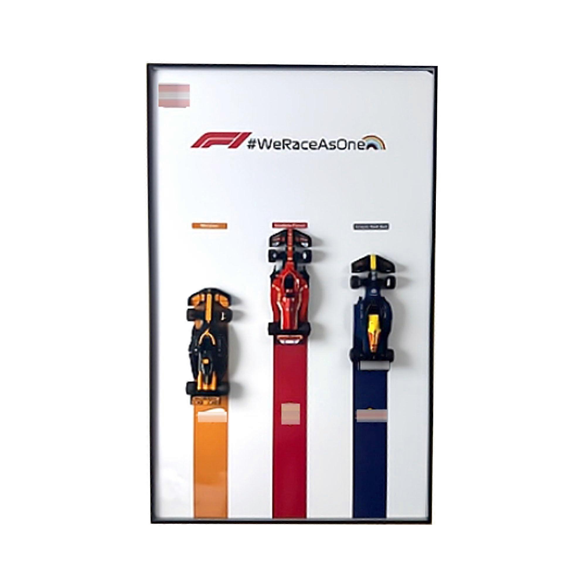 F1 Car Display Frame for  7724277251 Racing Models, Wall Mount Holder, SpaceSaving Design
