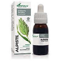 XXI Century Birdseed Extract 50 ml