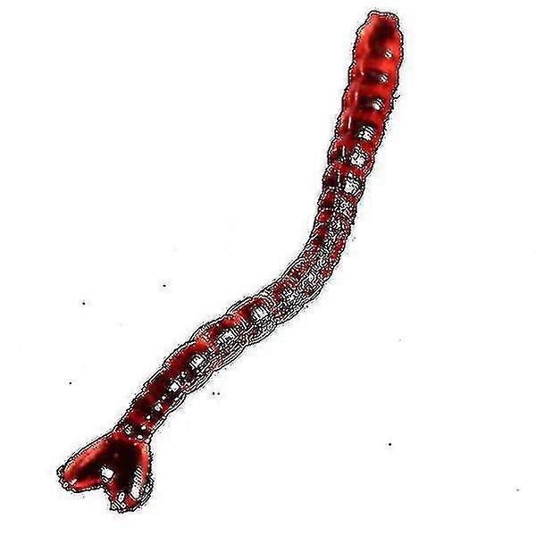 Hmwy-20pcs 2,5 cm Silikon Man Made Wurm Köder Angeln Köder Köder Grub Rot
