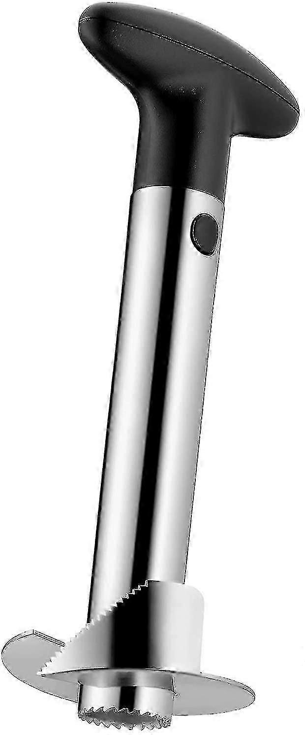 Ananas Schäler Corer Ananas geschnitten Ananas