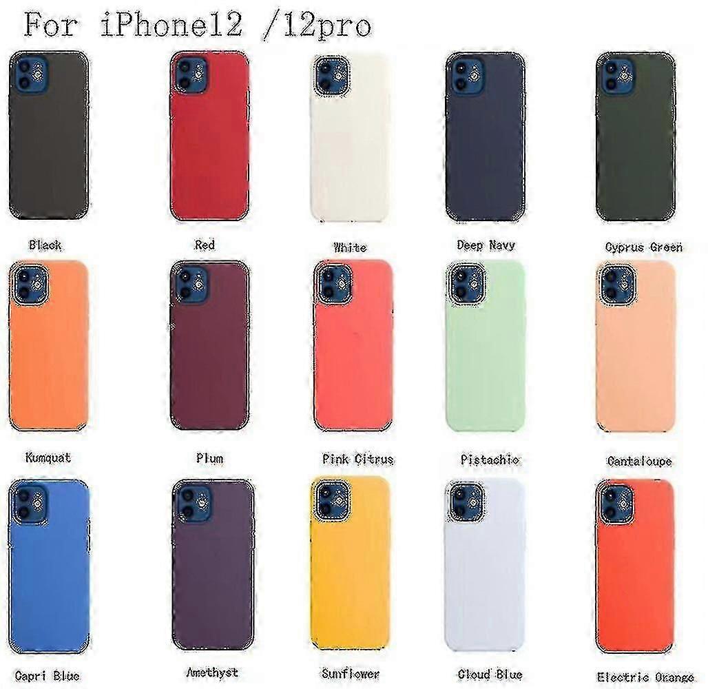Silicone Case With Magsafe For Iphone 12 12 Pro