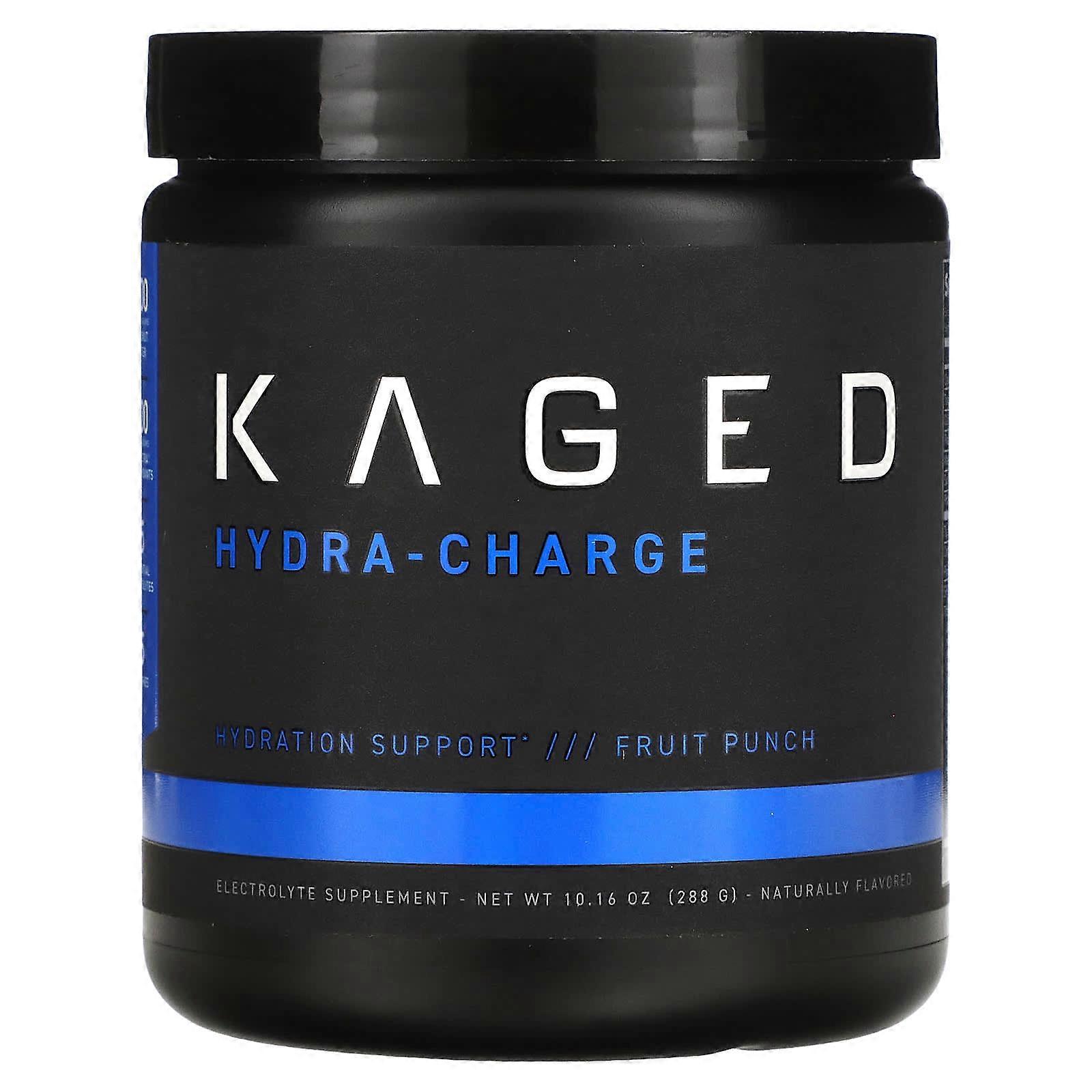 Hydra-Charge, Fruit Punch, 10.16 oz (288 g)