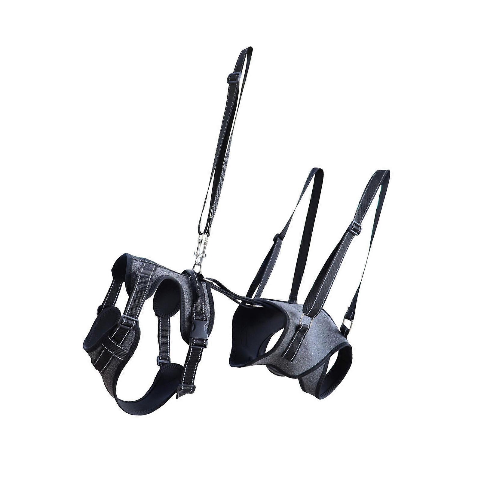 Supportive Dog Walking Exploit Senior Pets Weak Joints Assistance Solid Structure Padded Handle  XL