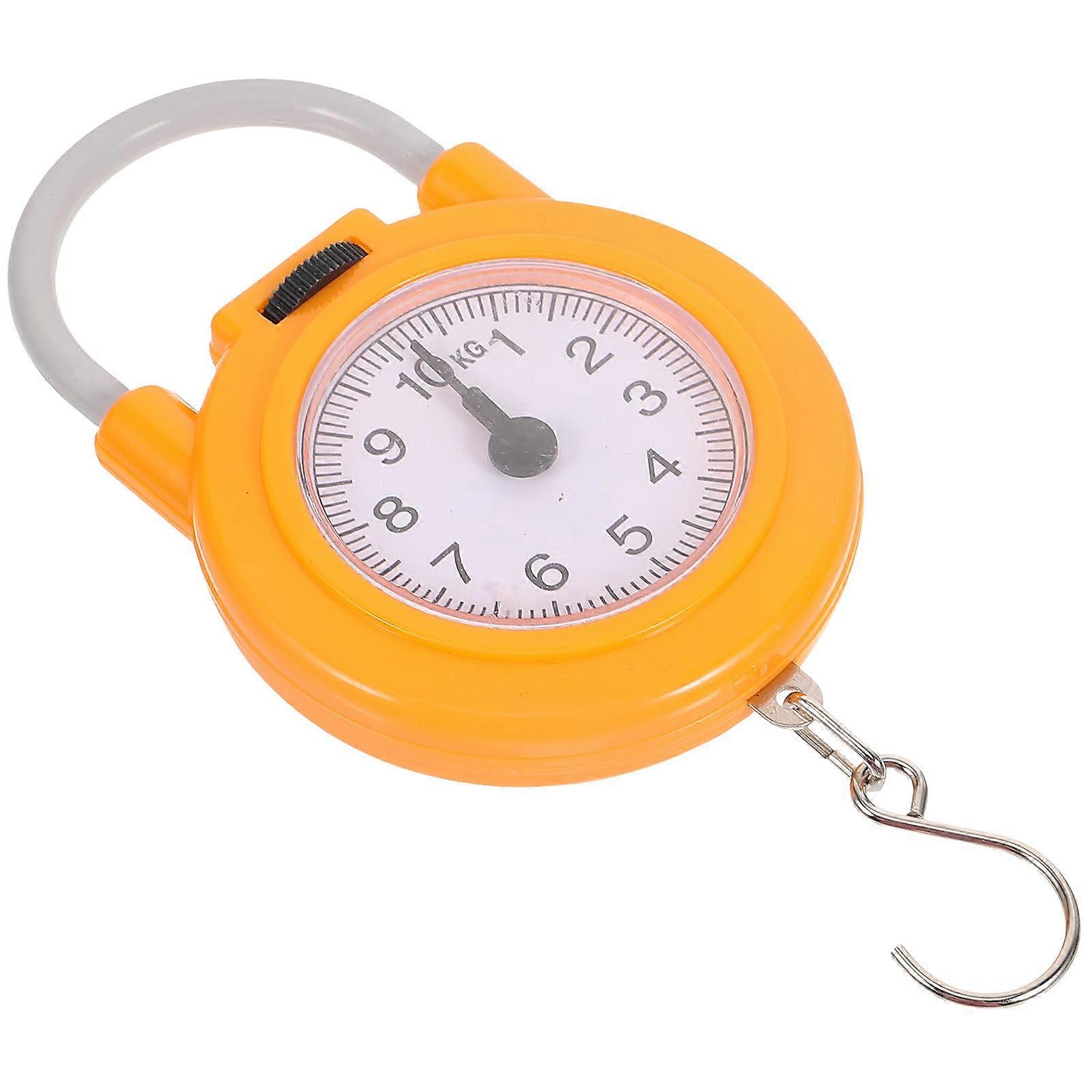 Weight Scale Small Fish Hanging Spring Scale for Kitchen 4Pcs Set