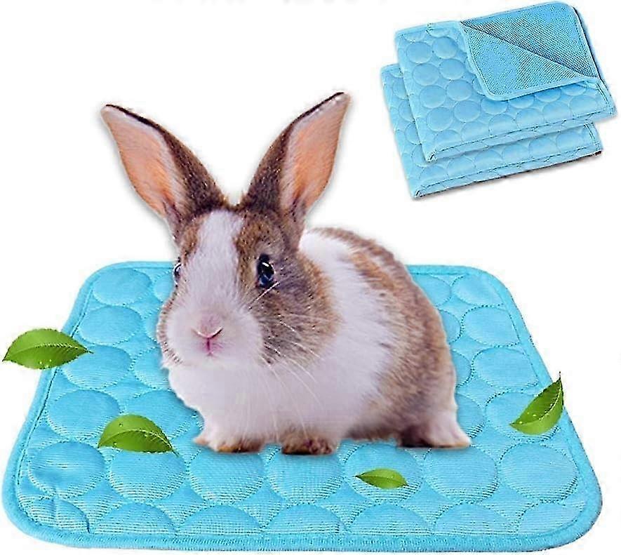 2-Pack Guinea Pig Bed Bunny Bed For Summer, Pet Cooling Mat