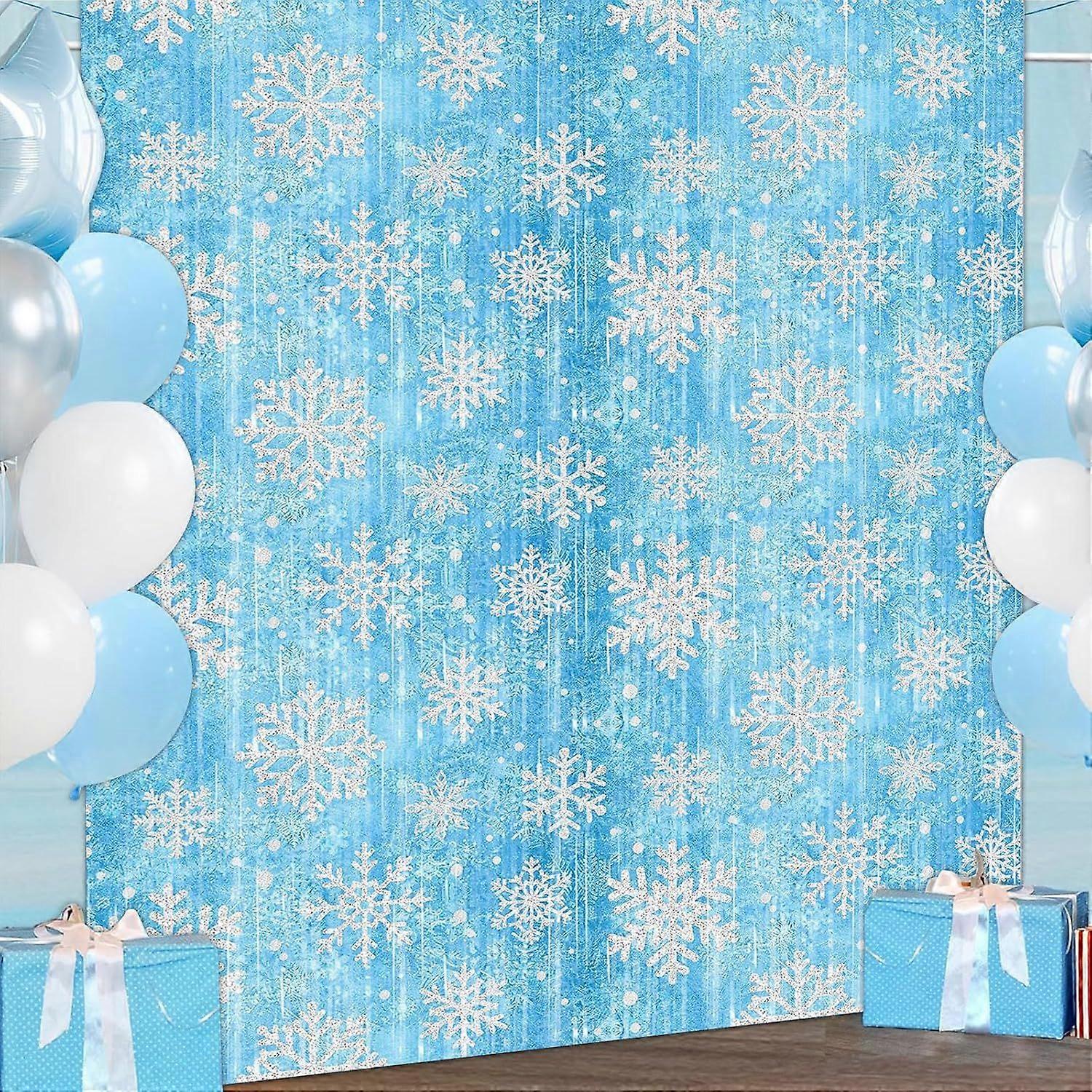2 Pack Winter Frozen Snowflake Foil Fringe Curtain Decoration, 3.2*6.5ft Frozen Birthday Tinsel Foil Fringe Photo Booth Backdrop, Wonderland Tinsel