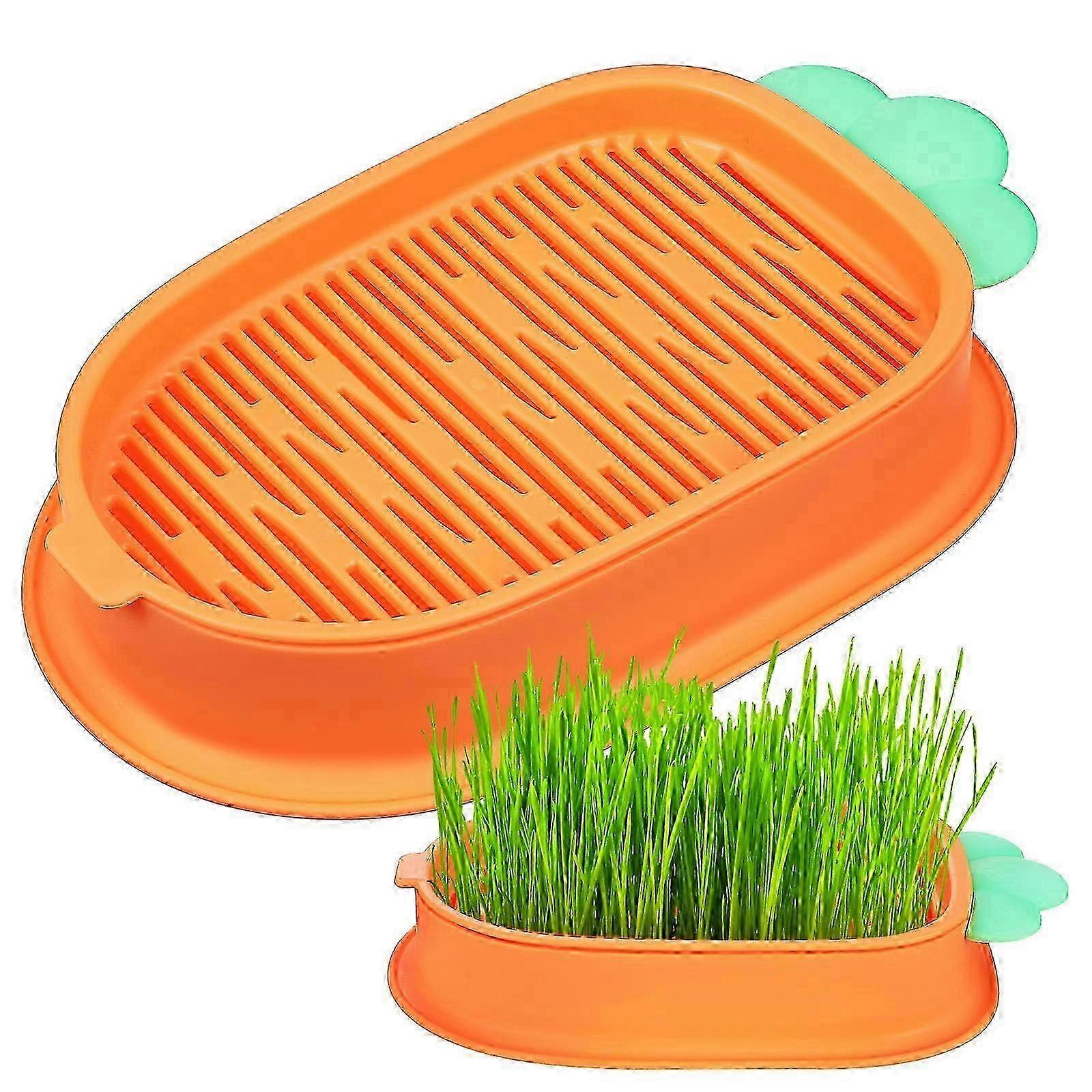 Carrot-Shaped PP Cat Grass Hydroponic Kit