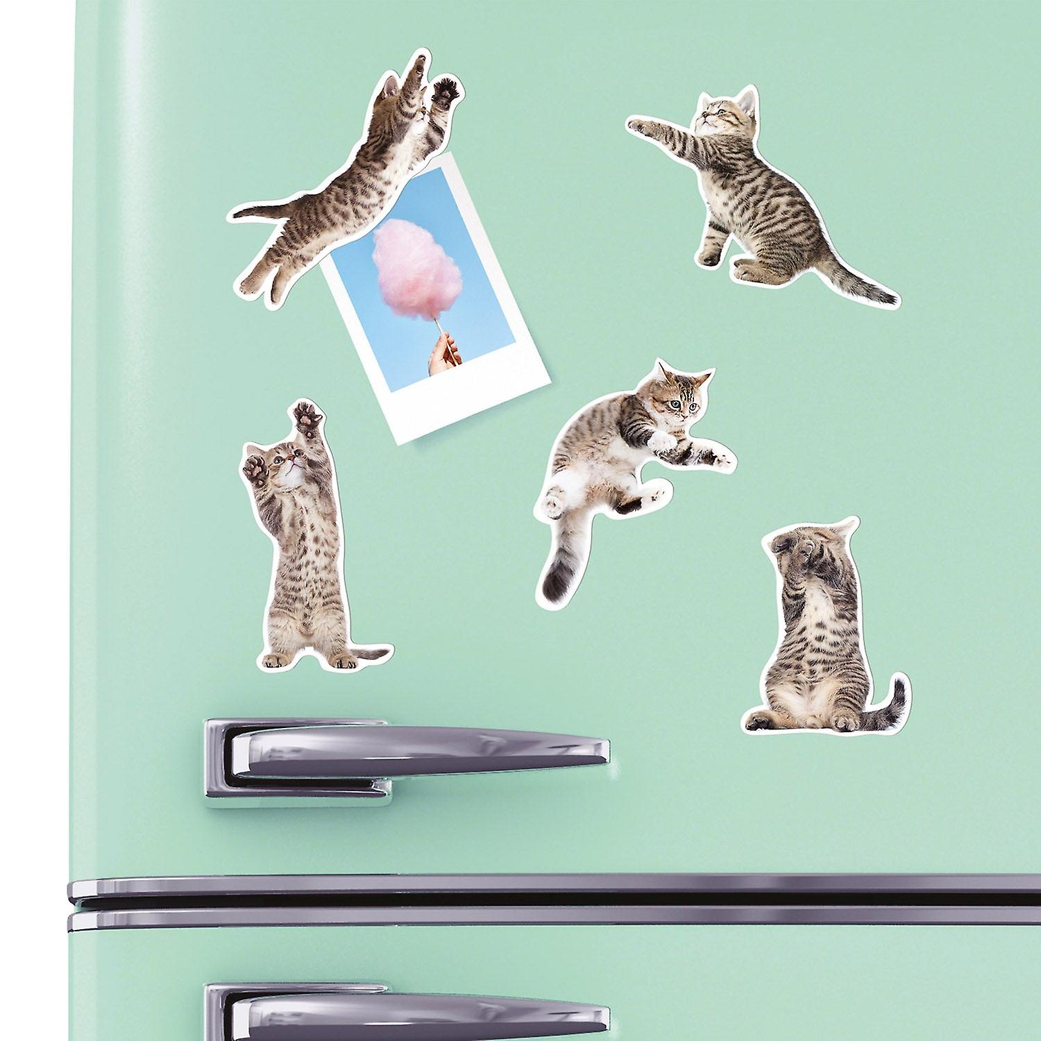 Mosterd - Action Cat Magneten - Set Van 12