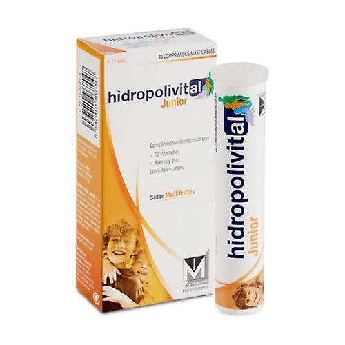 Hidropolivital junior cognitive development. 40 tablets