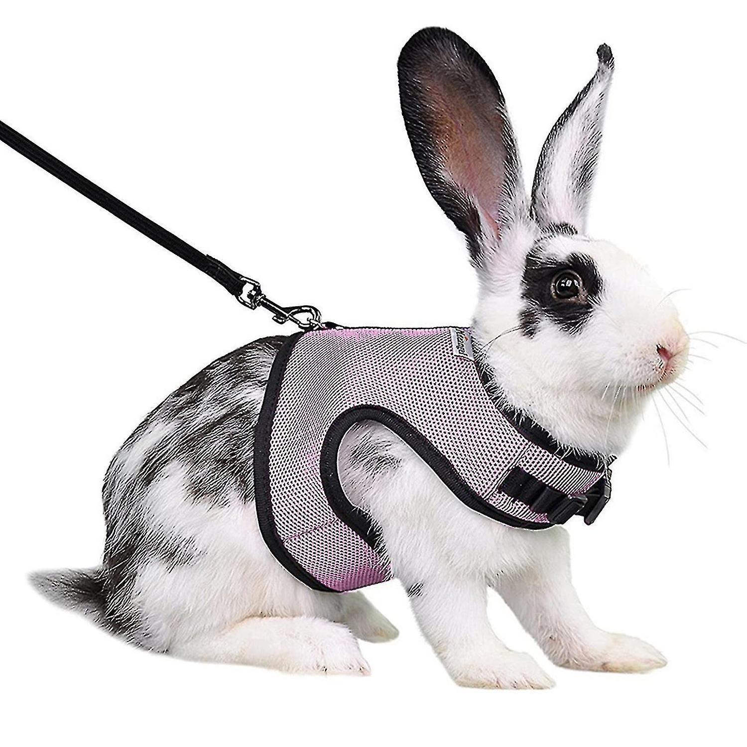 Rabbit Harness Comfortable Adjustable Traction Tool Ferret Rats Hamster Soft Mesh Harness Leash Vest