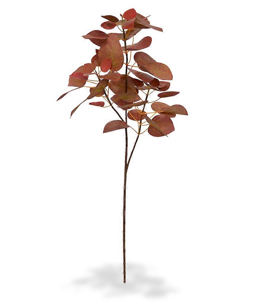Cercis Canadensis Branch (80 cm)