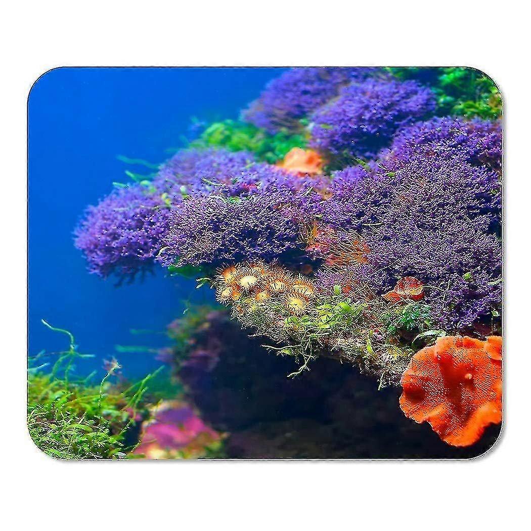 Mouse Geek Nerd Culture Handwriting Style Physics Science Mathematics