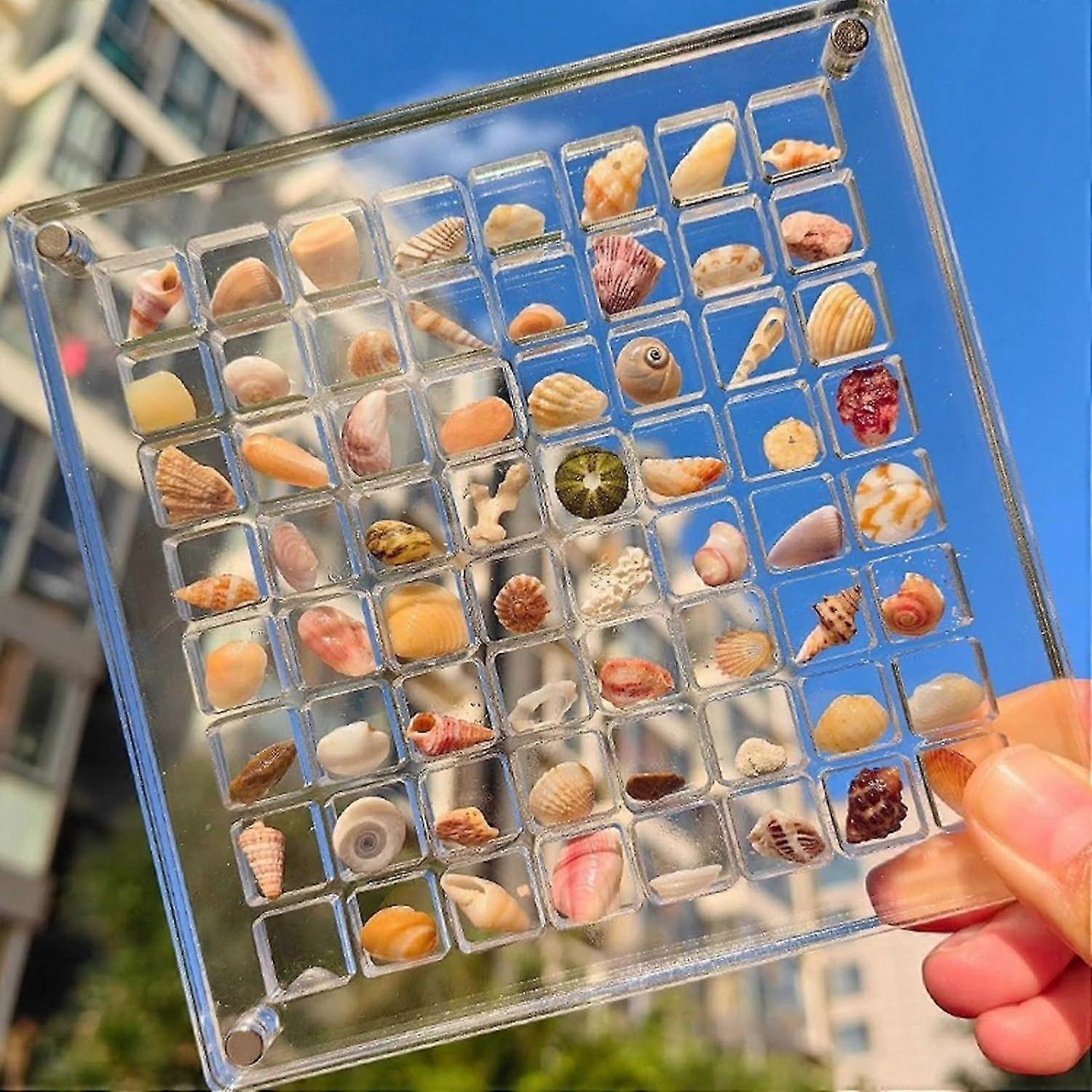 Acrylic Magnetic Seashell Display Box, Seashell Storage Box Display Case Decorative Seashell Starfish Trinket, Small Craft Organizers Container For Be