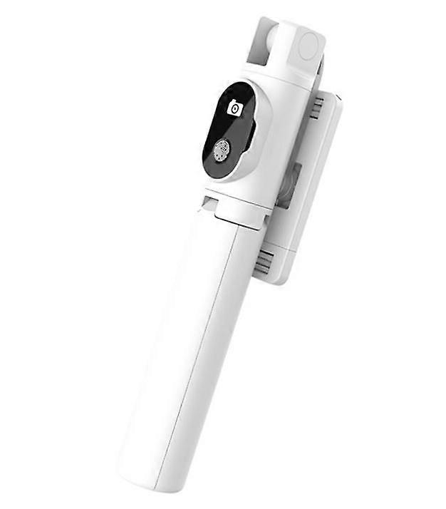 Selfie stick artifact remote control integrated
