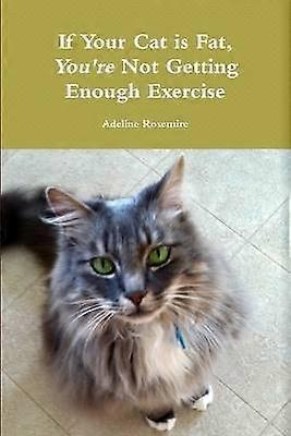 If Your Cat is Fat You're Not Getting Enough Exercise