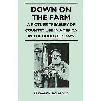 Down on the Farm - A Picture Treasury of Country Life in America in the Good Old Days