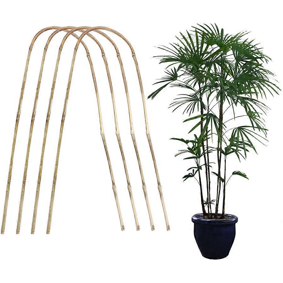 Bambus U-Form Pflanzenstütze - 2 Set Indoor-Klettergerüst 60cm