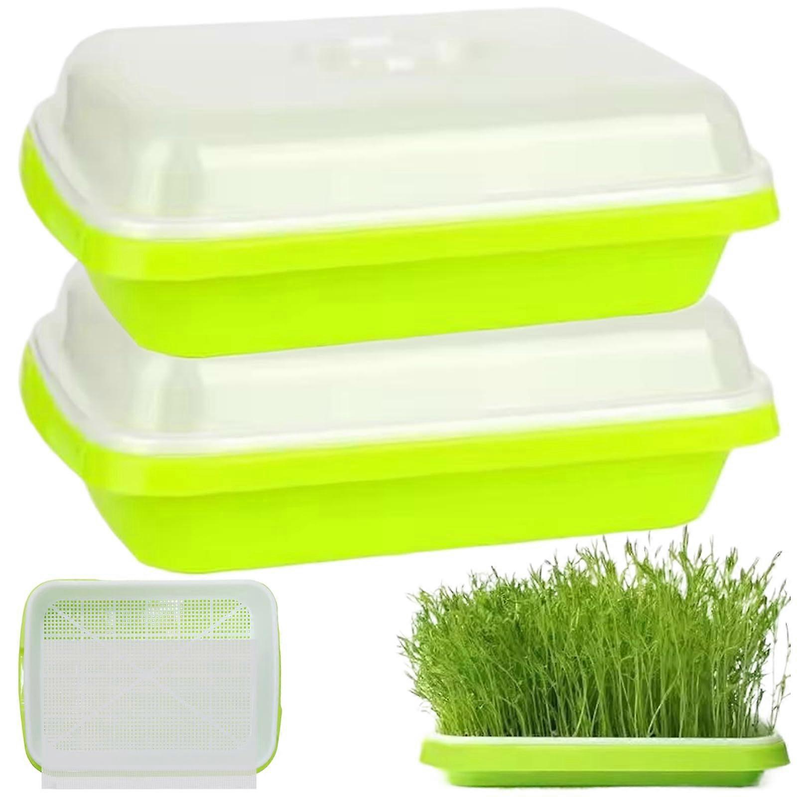 Microgreens growth kit, 2pcs 13x10 inch sprouting tray with lid Ref: 9745