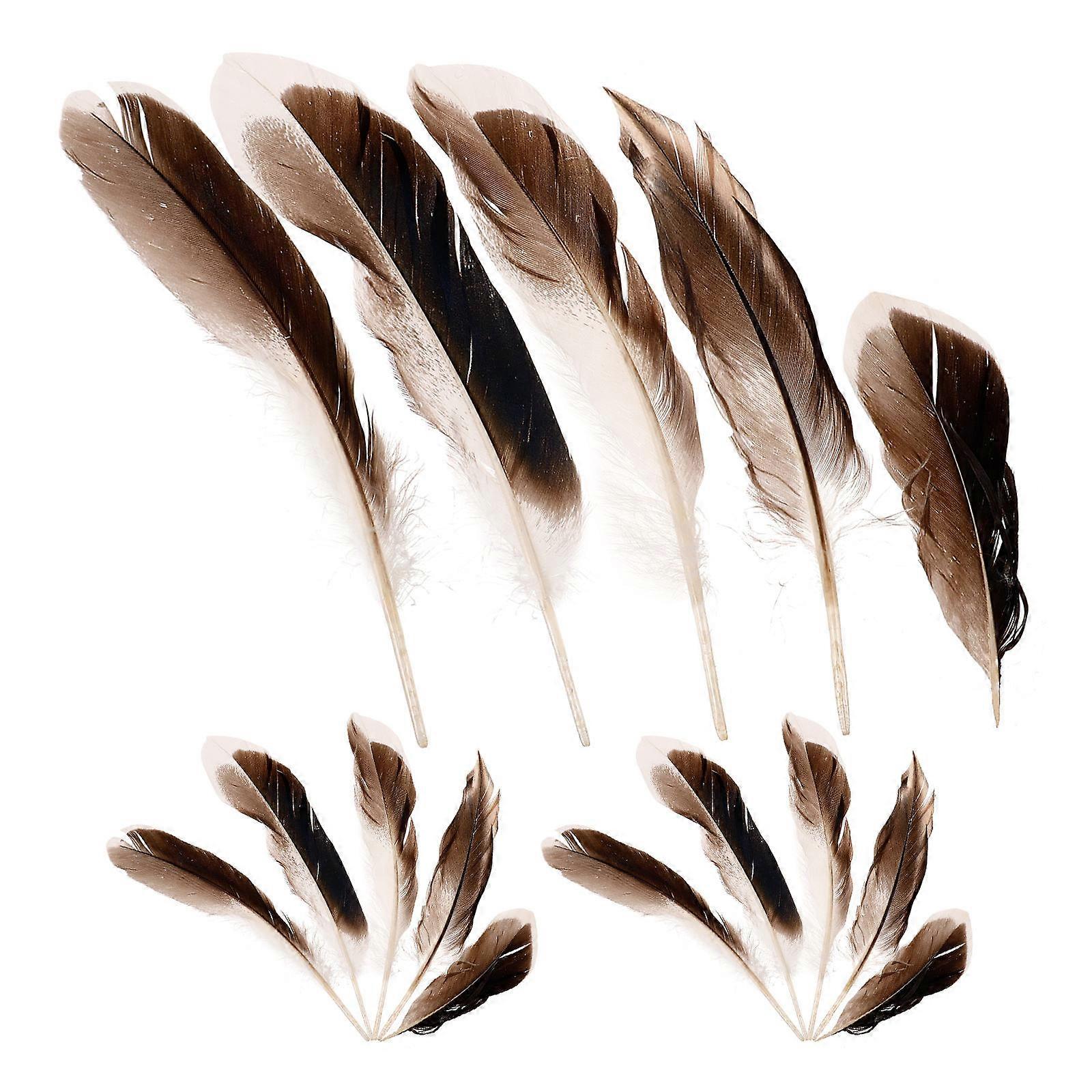 Duck Plume Plumes for Party Decorations 100Pcs Multi-Color Craft Supplies