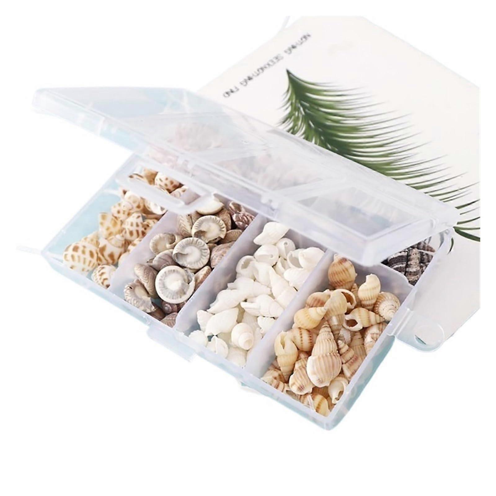 Natural Seashells 13cm Conch and Mini Corn Screw Shells for DIY Wall Decor, Aquarium Landscape