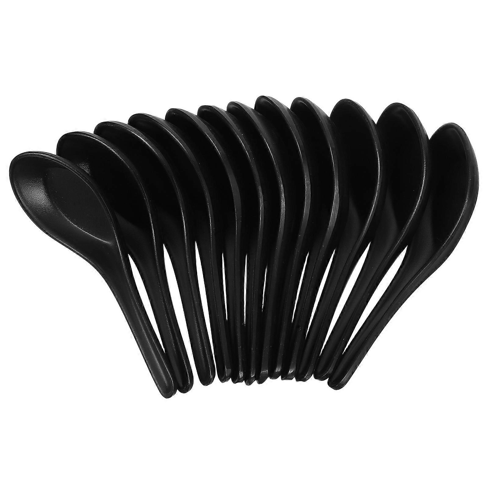 Black Ramen Spoons for Home 12Pcs Soup Spoon Set