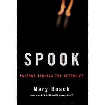 Spook: Die Wissenschaft befasst sich mit dem Leben nach dem Tod