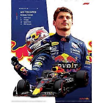 Max Verstappen Jigsaw Puzzles DS-301