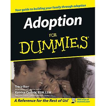 Adoption For Dummies by Barr Paperback