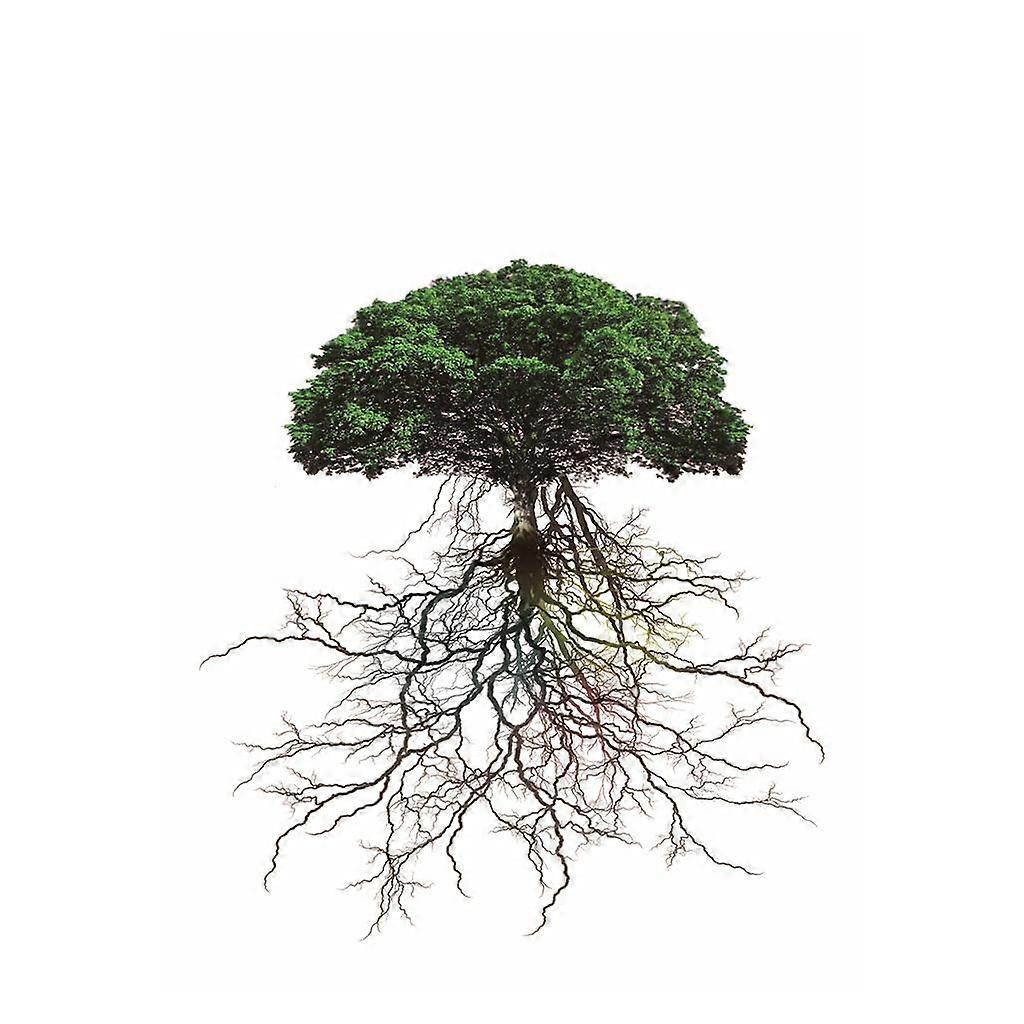 3D Waterproof Tapestries Wall Hanging Tapestry For Indoor Outdoor Usage G