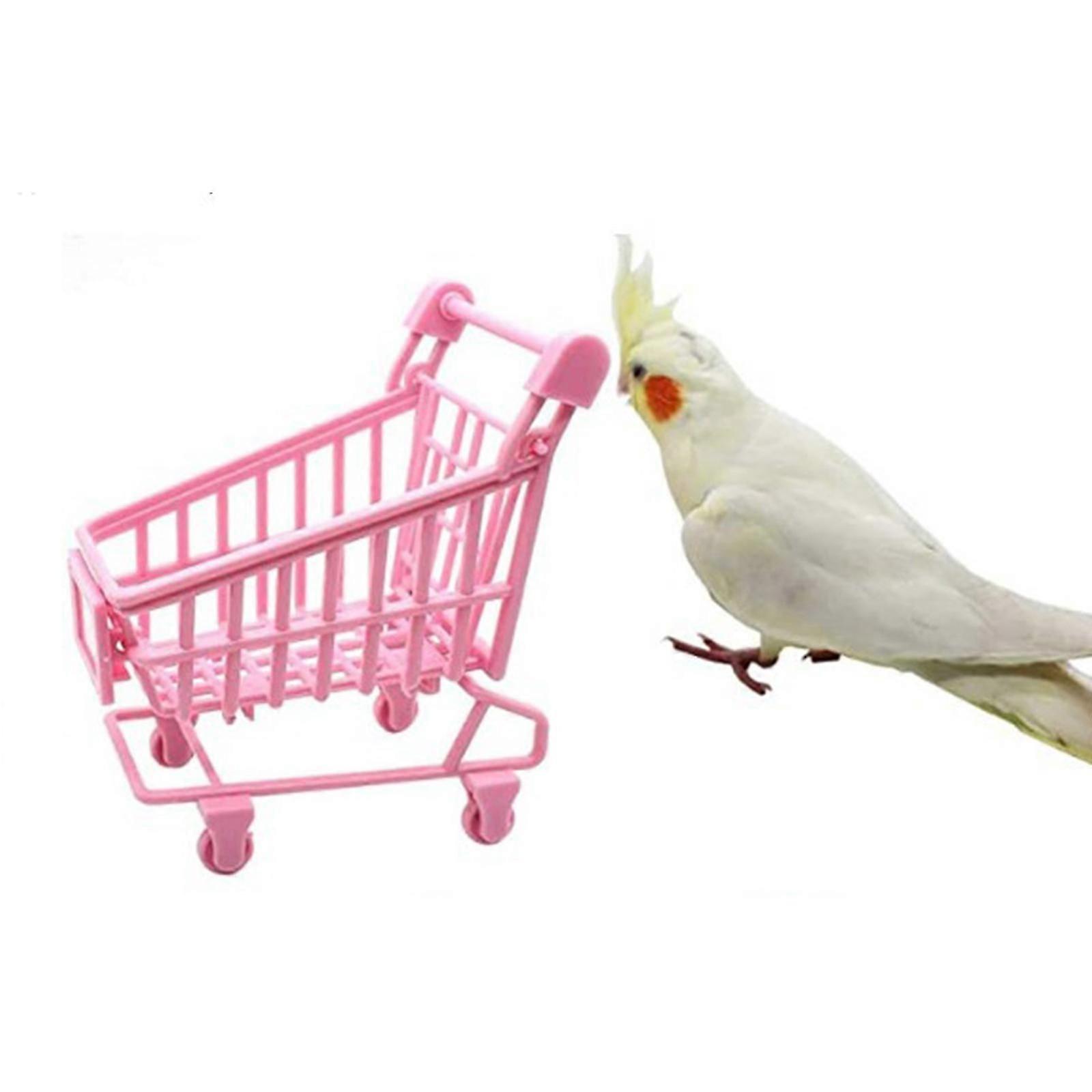 Bird Training Toys Parrot Intelligence Toy Plastic Trolley Toy for Parrots