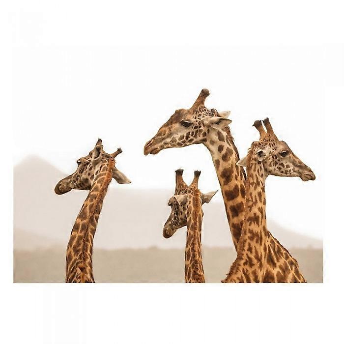 Mario Moreno Long Necks Paper Print