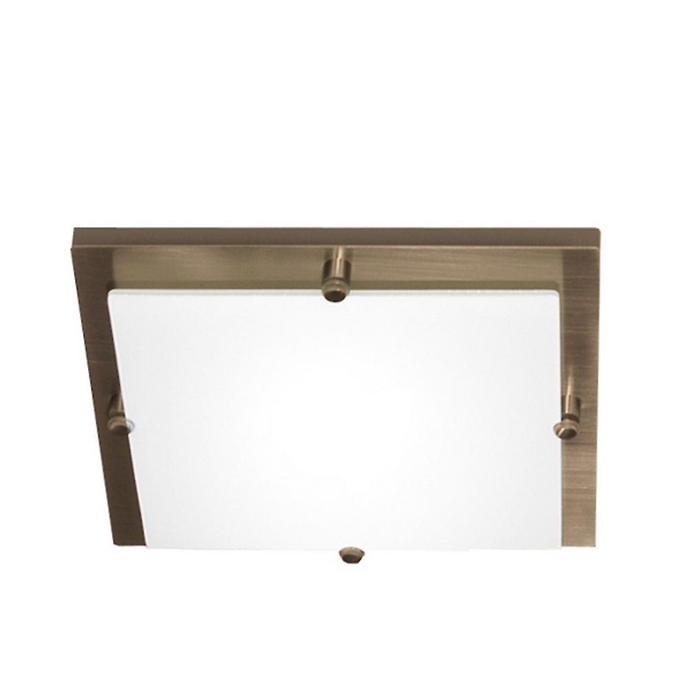 Flush Ceiling Light Stainless Steel