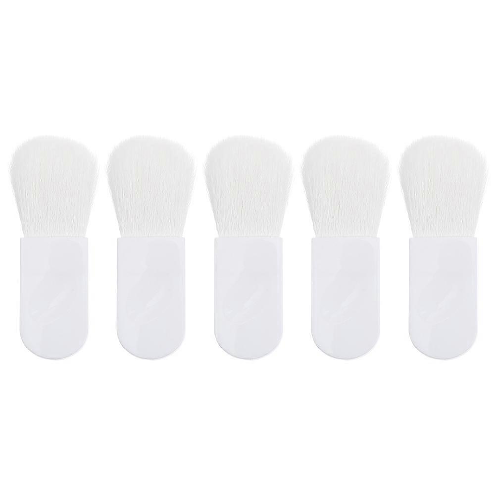 Makeup Brush Multi-Purpose Blush Brush Collection for Home Use 10Pcs