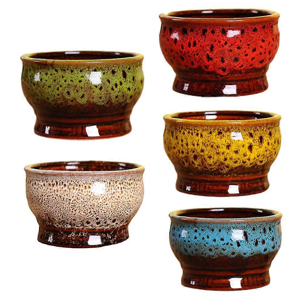 Ceramic Cactus Flowerpots for Home Use 5Pcs Set