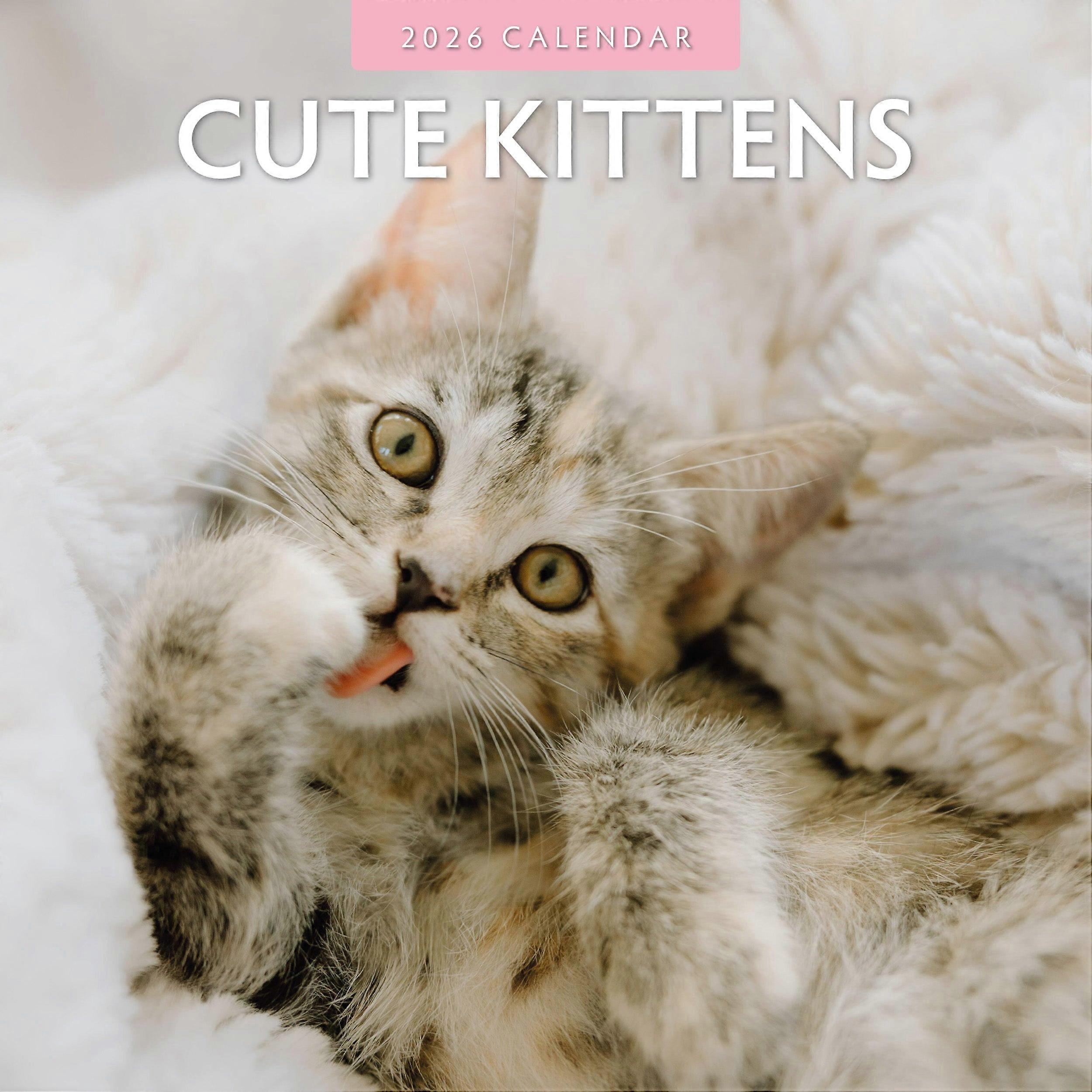 Red Robin Cute Kittens Calendar 2026