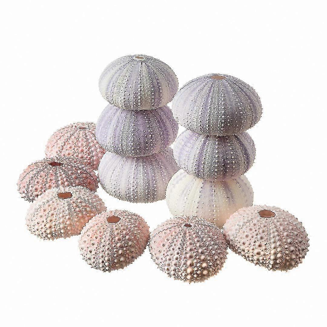 Natural Sea Urchin Shells Assortment - 12 Decorative Craft Shells in Pink and Purple Hues for Art Projects