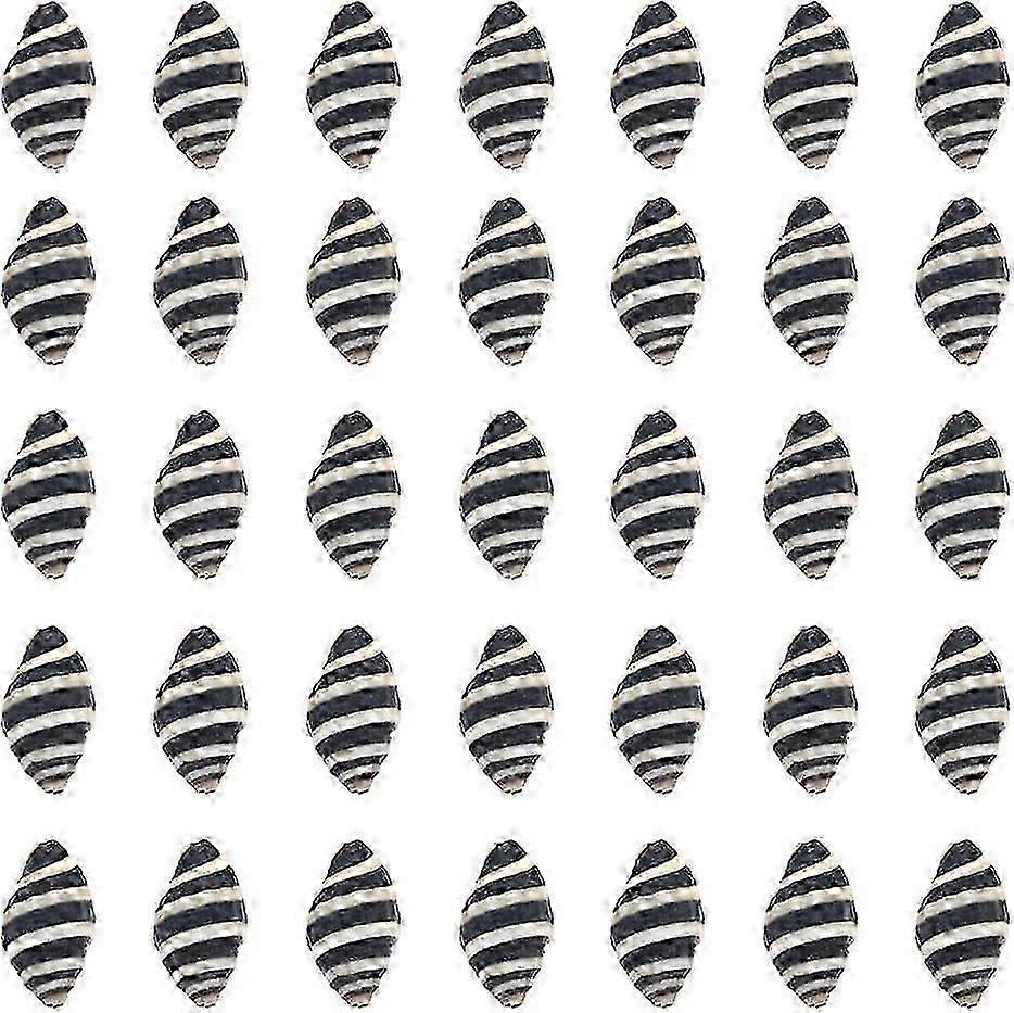 1 Box 50Pcs Spiral Shells Small Spiral Seashells Vase Fillers Zebra Pattern Hawaii Style Sea Ocean Beach Black White Conch Un-Drilled No Hole Shells f