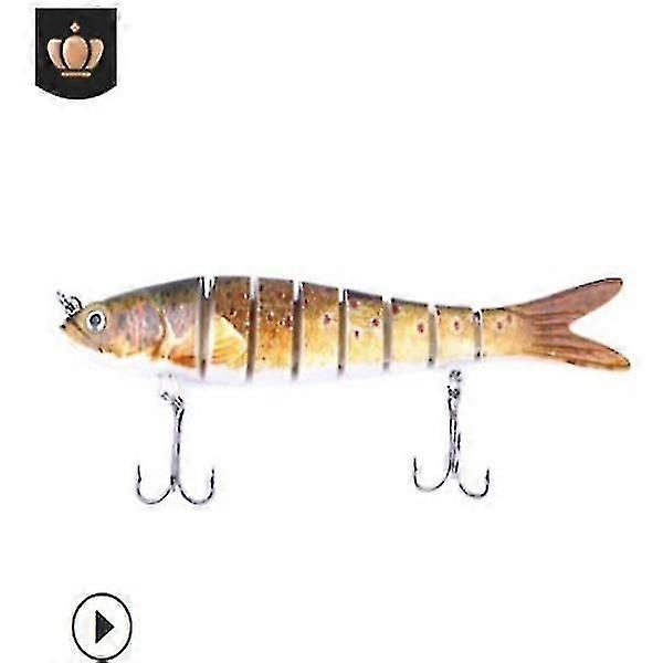 Multi-section fish lure