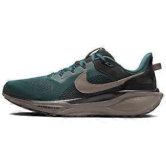 Nike Air Zoom Pegasus 41 SP Faded Spruce HQ6025-300