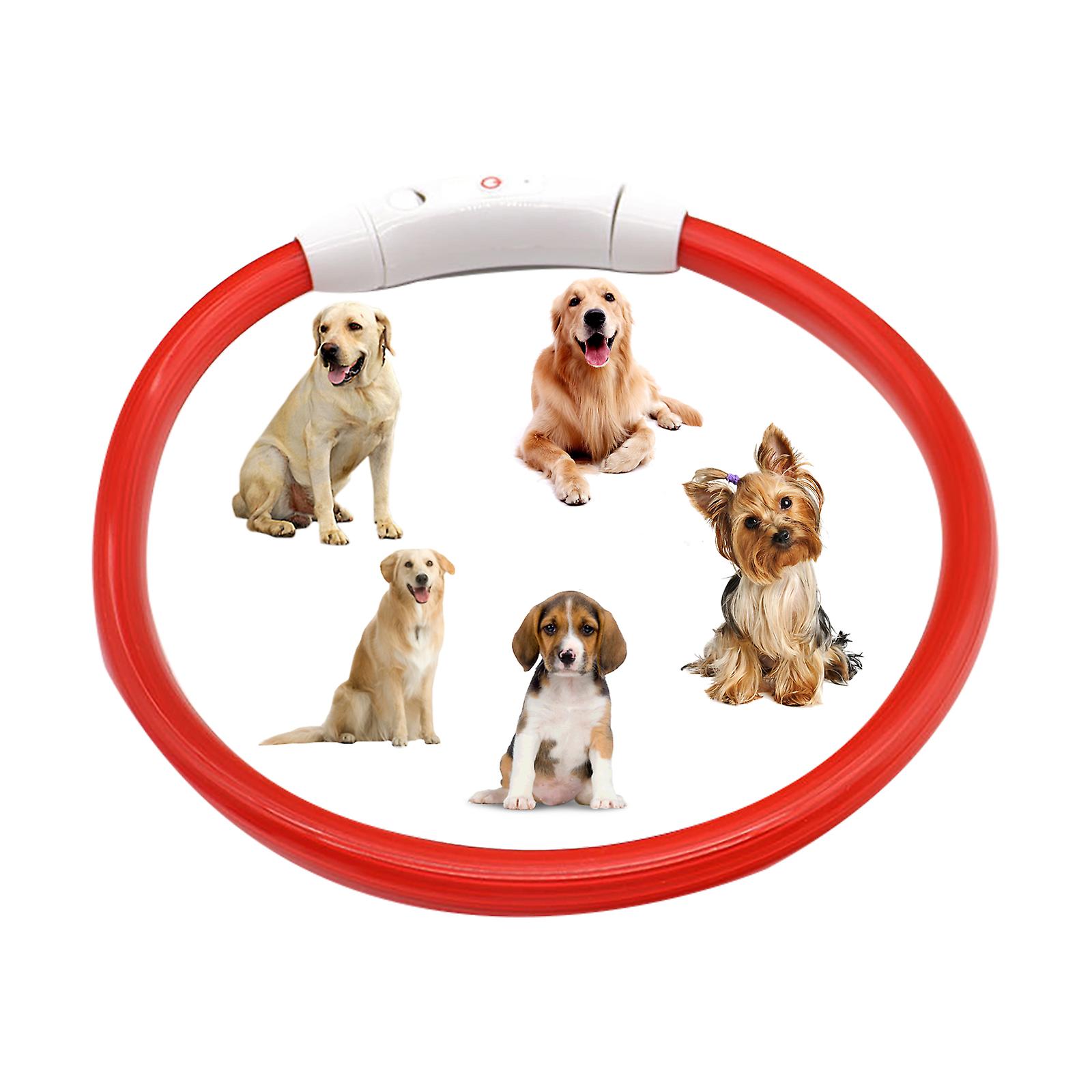 Collier lumineux Led Collier Pvc Usb Charge Chien Collier Lumineux Pet Col Lumineux