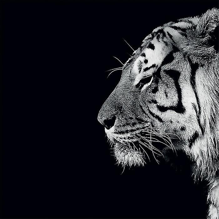 Nicolas Evariste Panthera Tigris Print