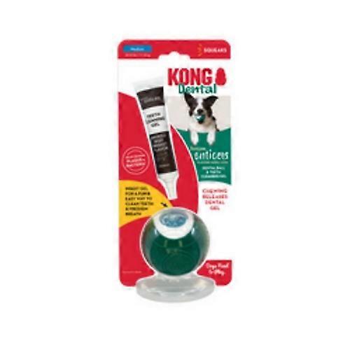 Rogz Dental Ball with Tropiclean Enticer Teeth Cleaning Gel, 1 Oz (Medium)