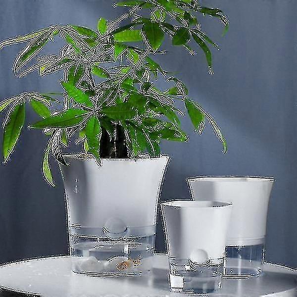 Self Watering Planter Pot, Hexagonal Clear Transparent Base Selfwatering