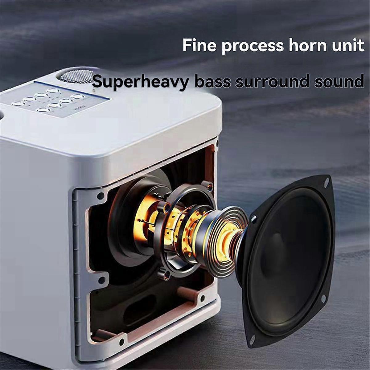 -203 Karaoke Set Karaoke Speaker Wireless Bluetooth Dual Microphone Speaker Microphone Machine Black