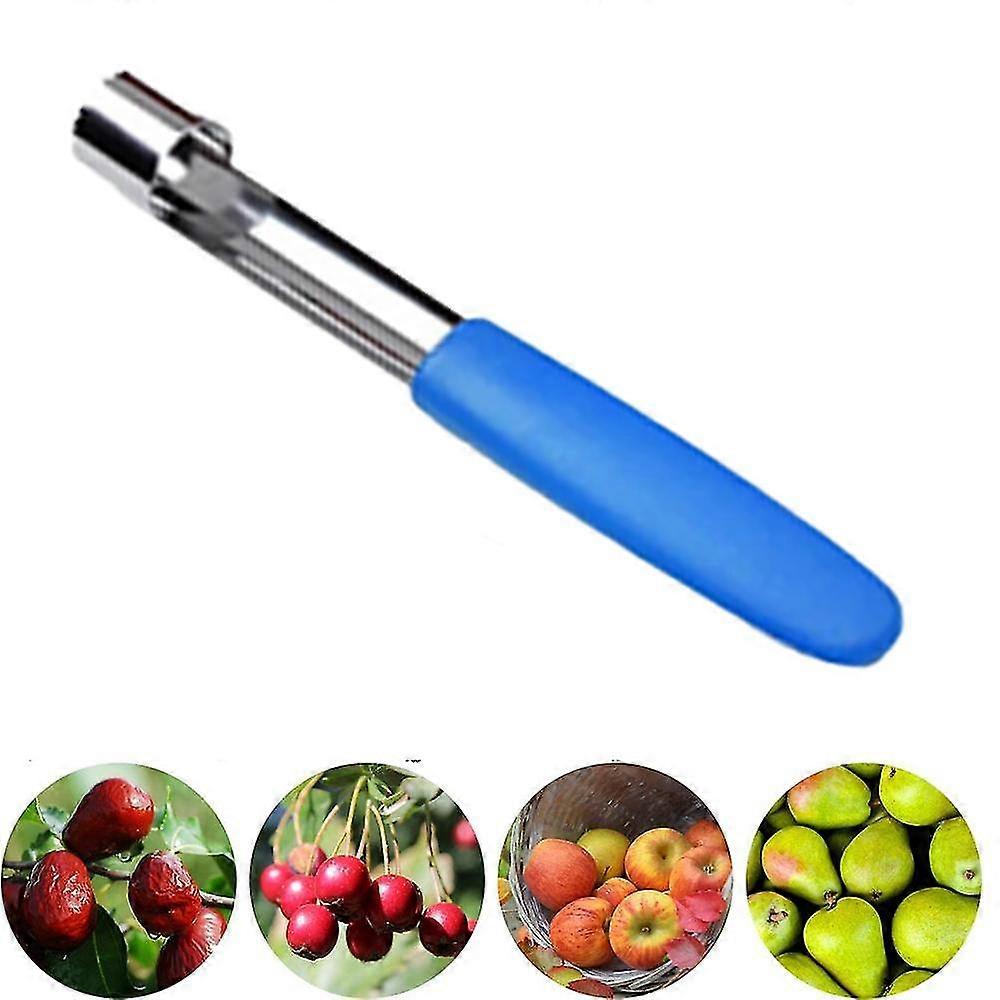 Apple Corer,premium Stainless Steel Remover/puller,hand-held Kitchen Tool - Great Handle - 1 Pack